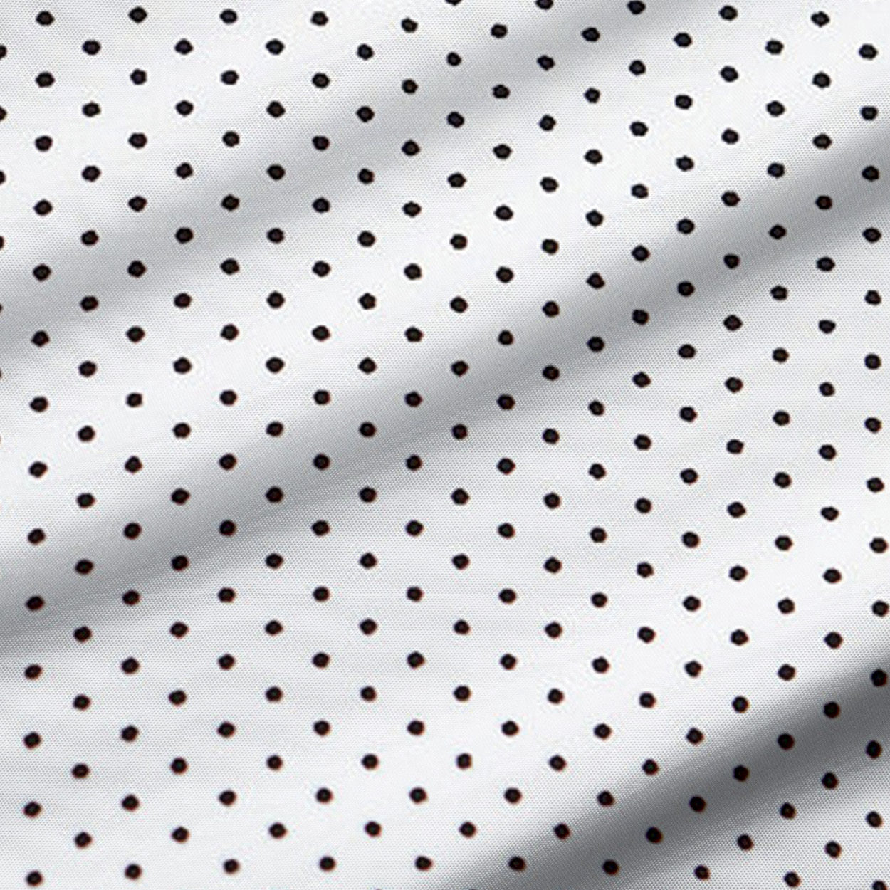 "The Tatar" White With Black Dots