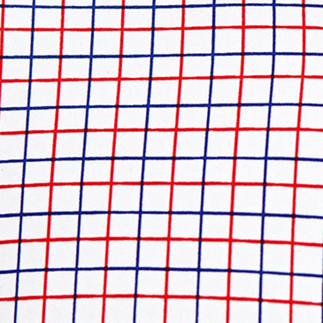 "The Potomac" Red and Blue Cross Stitch