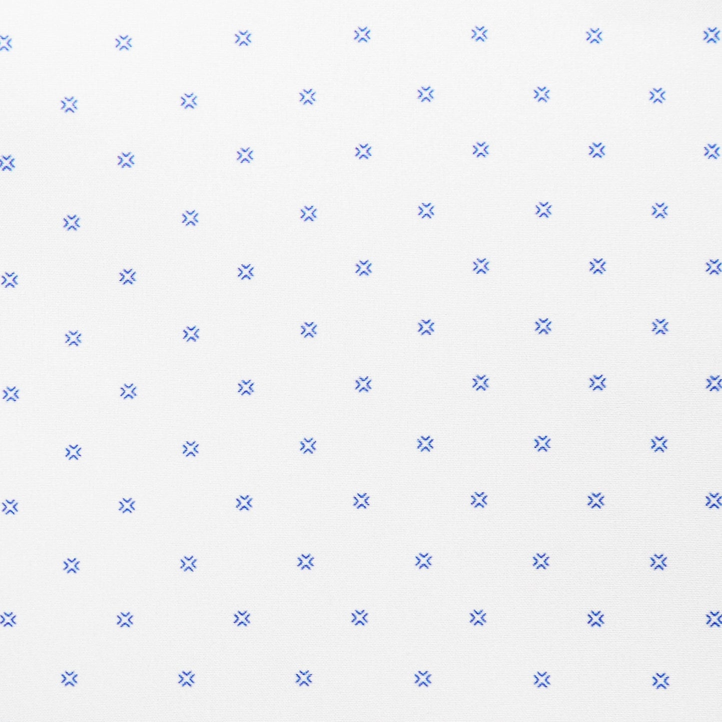 "The Ryder" Blue Plus Print