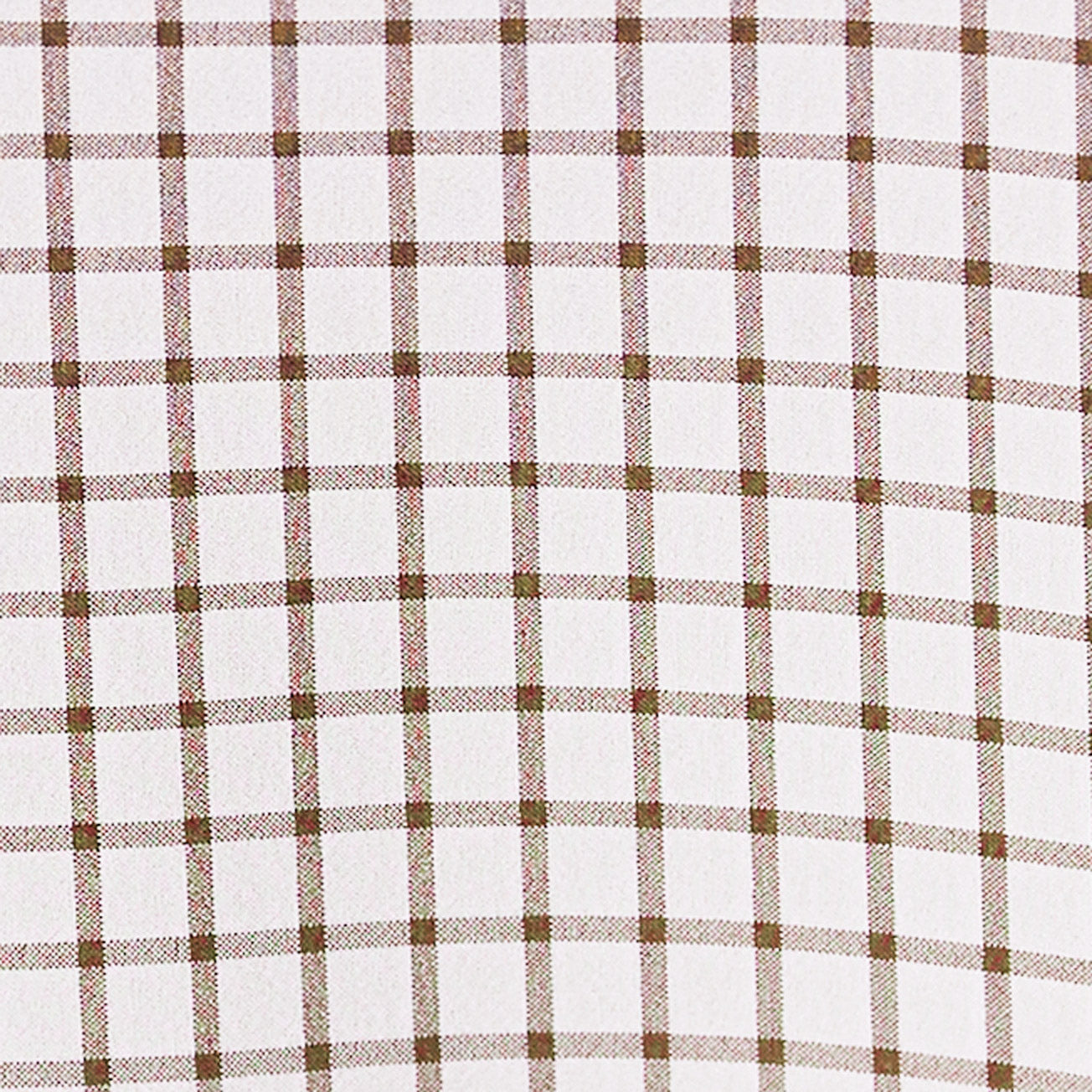 "The Wilson" Brown Windowpane